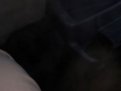 1595408