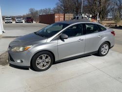 auction-item