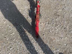 1613370
