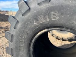 1618844