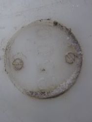 1651353