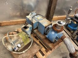 auction-item