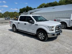 auction-item