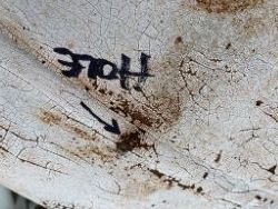 1817809