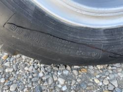 1954145