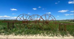 auction-item