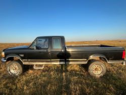 auction-item