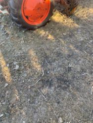 2155819