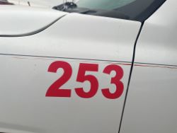 2194972