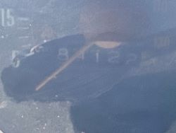 2243384
