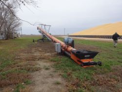 auction-item