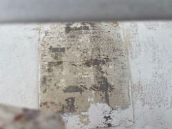 2249848