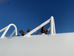 2252836