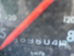 2260981