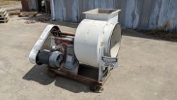auction-item