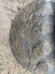2231524
