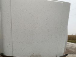 2305364