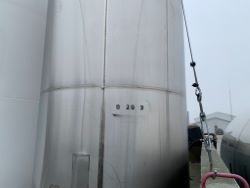 2305916