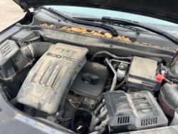 2313956
