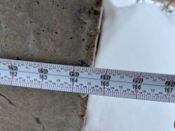 2315562