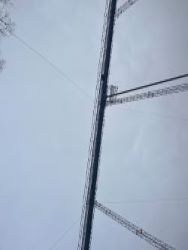 2297398