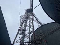 2297431
