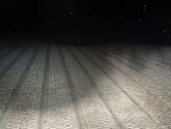 2297328