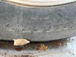 2320117