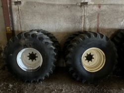 auction-item