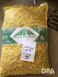 auction-item