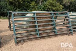 auction-item