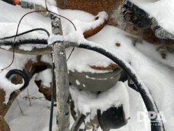 2750384