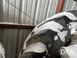 2753566