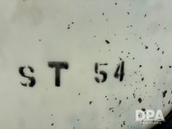 2768806