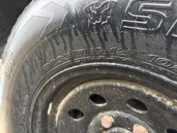2774651