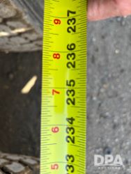 2783913