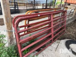 auction-item