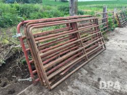 auction-item