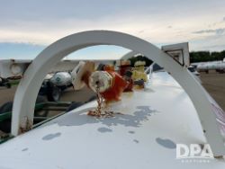 2907964