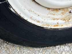 2953604