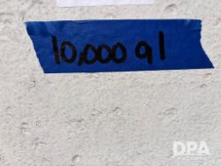 2955423