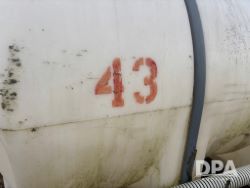 2975526
