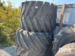 auction-item