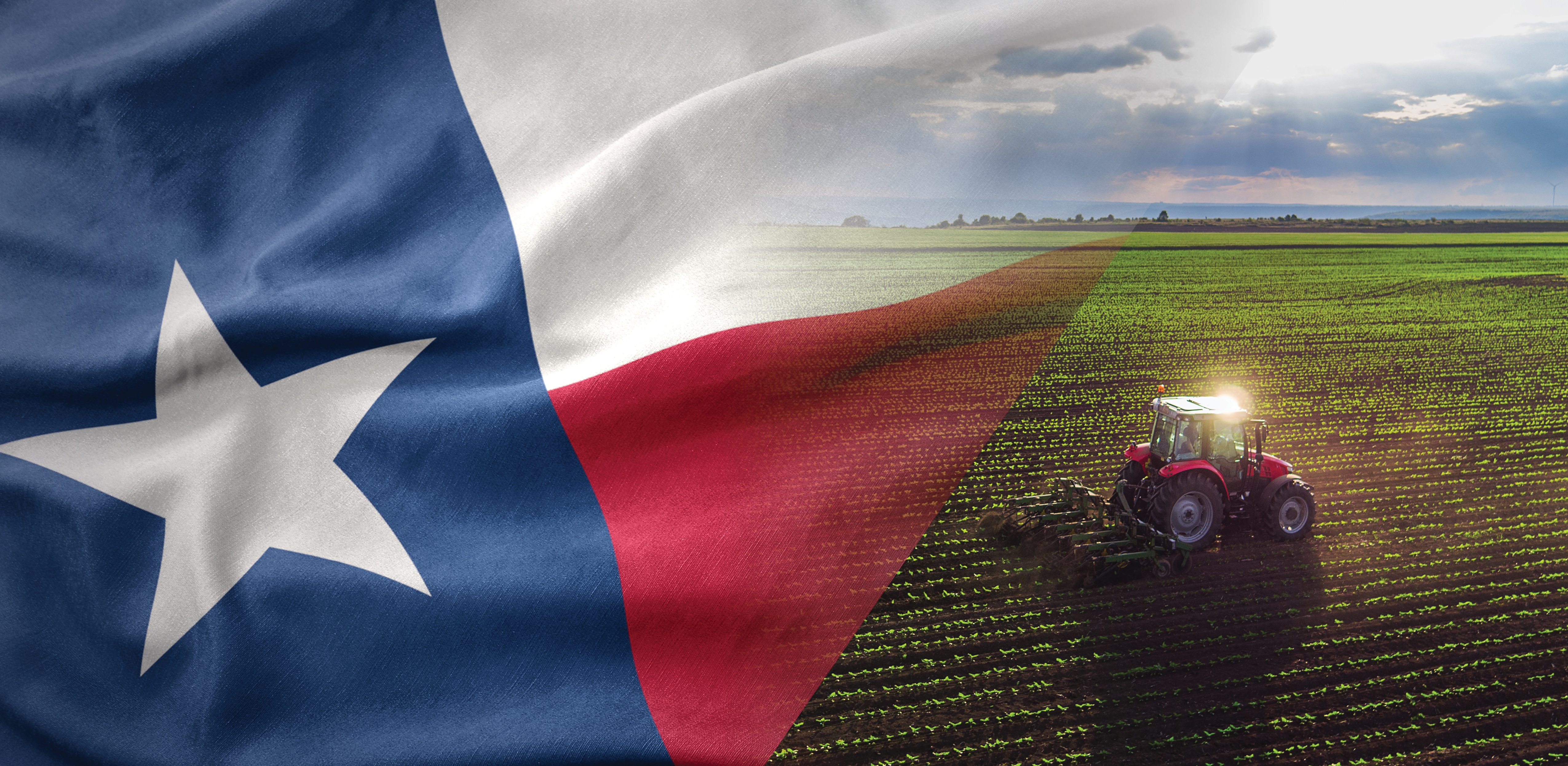 DPA Auctions: Impact of the Texas Freeze on Farmers and Ranchers